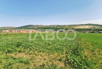 Teren agricol extravilan de 10000 mp, în Șura Mare