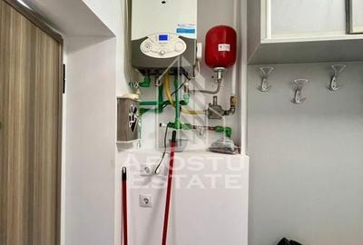 Doua apartamente la curte comuna,zona Traian - 8