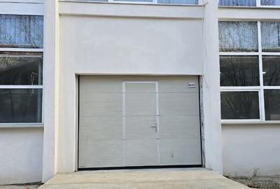 Hala + birouri in Parcul Industrial Roman pt. productie, depozitare, servicii - 1