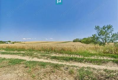 Teren intravilan + extravilan in Remetea Mica - 6