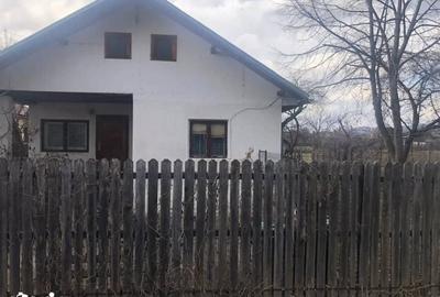 Casă cu 3 camere cu Teren 1768 Mp în Drajna - 16
