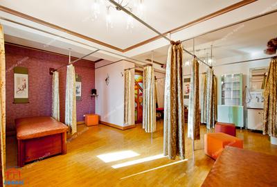 Vanzare vila eleganta, situata in Galati, zona centrala, Bd Basarabiei - 9