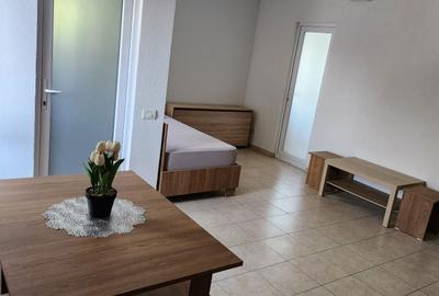 Casă cu 4 camere cu Teren 500 Mp în Lumina - 8