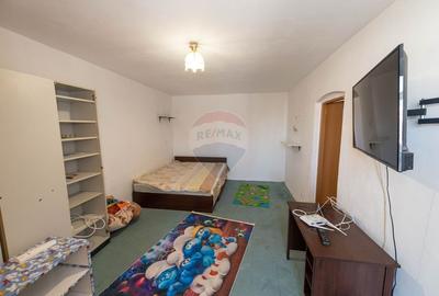 Apartament decomandat cu 2 camere de vanzare in zona Titan Salajan - 14