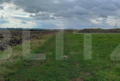 Blitz propune spre vanzare teren extravilan in Jucu 2877mp, - 2