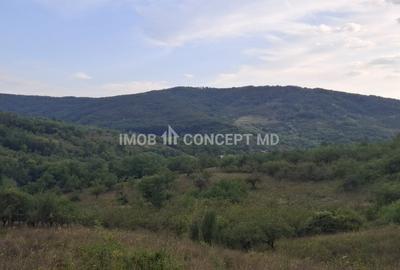 Teren spectaculos cu padure, livada si priveliste panoramica in Soimari PH - 19