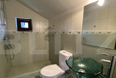 Casa S + P + M de 333 mp utili, cu 2.040 mp teren, front 26 - 13