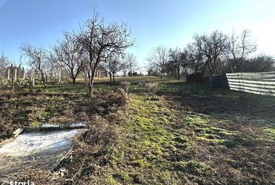 Casă cu 3 camere în Țelna - 14