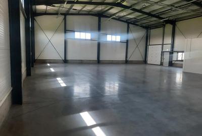 Spațiu comercial, de 380 mp, în Giarmata - 6