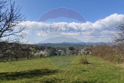 Teren intravilan pentru casa Carbunari - 9