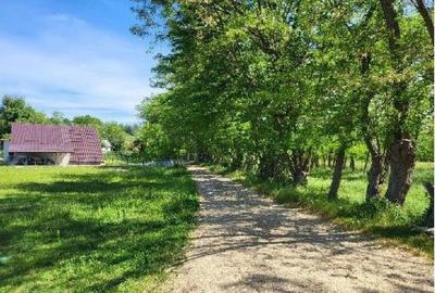 Teren de 1743 mp, în Tisău - 6