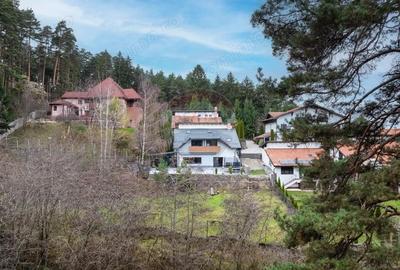 Vila moderna cu vedere spre padure Poiana Angelescu - 4