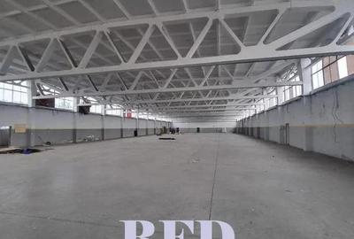 OFERTA - Proprietate industriala de vanzare zona Banovi?a, spate Dedeman, str. Pade? - 9