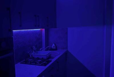 Garsonieră decomandată în Porolissum - 2