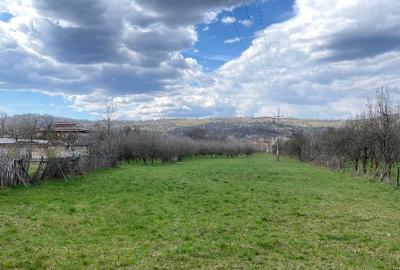 Teren Construcții intravilan de 7000 mp, în Berevoești - 7