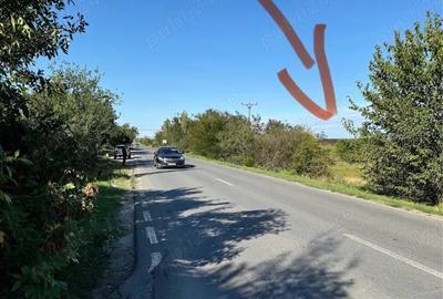 Teren de 6700 mp, în Butimanu