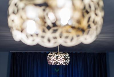 Casă individuală cu 9 camere cu Teren 3763 Mp în Peciu Nou - 8