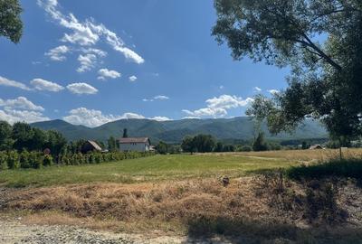 Teren Construcții intravilan de 2000 mp, în Sadu - 12