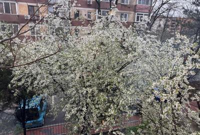 Apartament cu 2 camere decomandat, mobilat în Muncii - 6