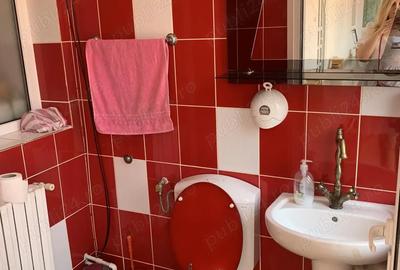 Casă cu 2 camere în Cricău - 9