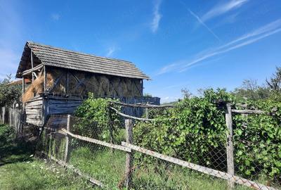 Casă cu 2 camere cu Teren 30 Mp în Târgu Logrești - 3