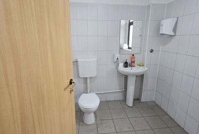 Spatiu comercial Sos Chitilei - 16