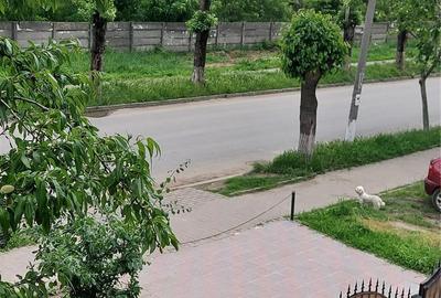 Casă în Mizil - 2