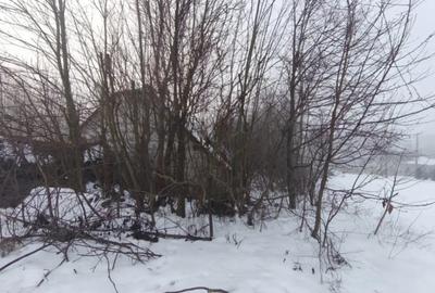 Casă cu 3 camere cu Teren 5000 Mp în Negostina - 2