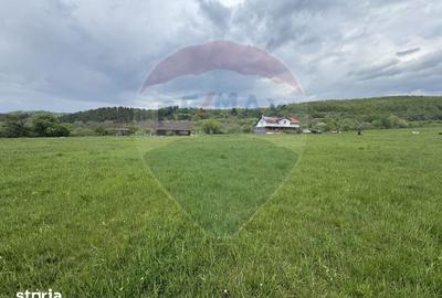 Casă cu 4 camere cu Teren 57600 Mp în Zimbor - 18