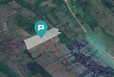 Teren agricol extravilan de 112700 mp, în Bara - 2