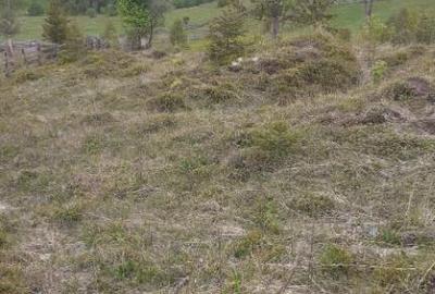 Teren de vanzare ideal pentru cabana in Maguri Racatau - 2