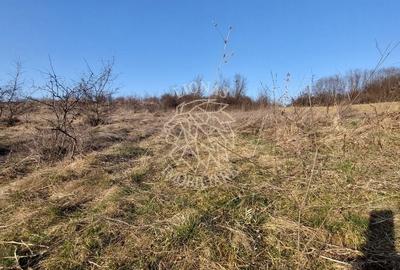 Teren Construcții extravilan de 2100 mp, în Sud - 1