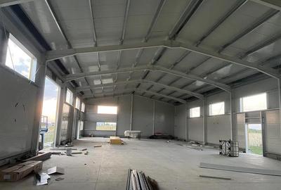 Spațiu industrial, de 600 mp, în Dascălu - 1