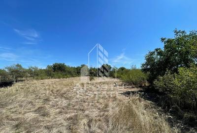 Casa cu teren 3407 mp, la asfalt, Seceani, 26 km de Timis... - 5