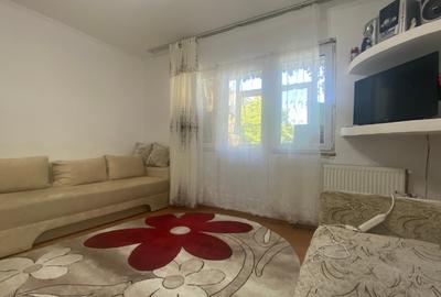 Apartament cu 2 camere semidecomandat în Banat