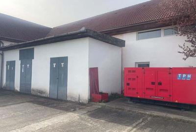 Inchiriez spatii comerciale si industriale in Dumbravita - 11