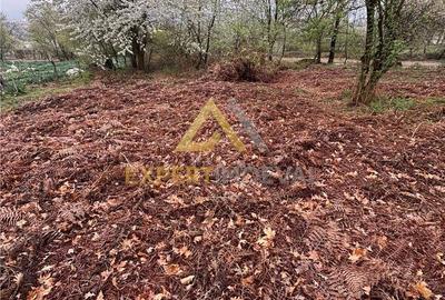 Teren de 1000 mp, în Groși - 8