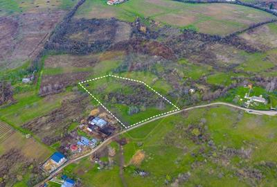 Teren Construcții intravilan de 33500 mp, în Valea Orlei - 9