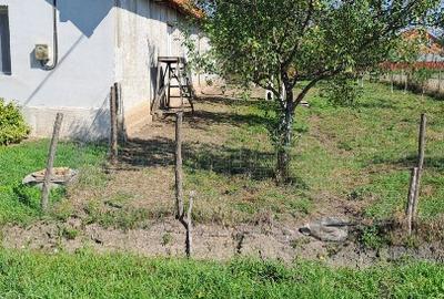 Vand casa cu gradina mare in Bethausen - 7