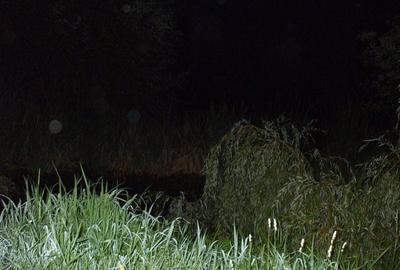 Casa de vanzare Albestii-Arges - 32