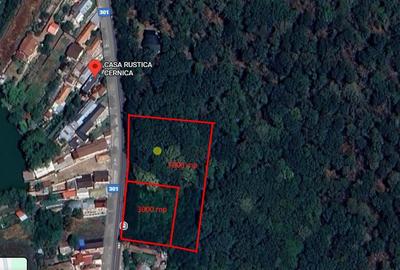 Teren 3.000 mp intravilan + 7.000 mp padure – Cernica, DJ301,A0 - 1