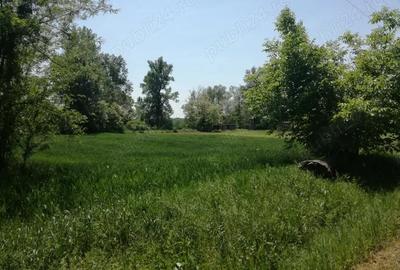 Teren de 5390 mp, în Vladimir - 2