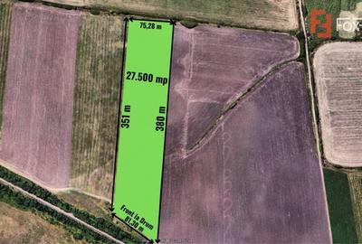 Teren extravilan 27.500 mp de vanzare in Timisoara-Zona Exterior Vest Mehala - 4