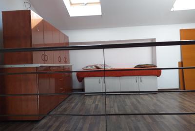 Vanzare duplex, P+1+M, Otopeni - 12