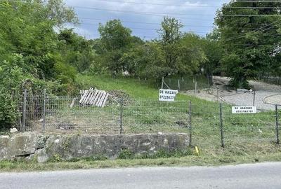 Teren de 4160 mp, în Provița de Sus - 6