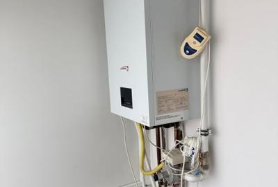 Apartament cu 2 camere semidecomandat, mobilat în Buziașului - 5