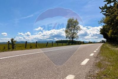 Teren Construcții intravilan de 5565 mp, în Giulești - 5