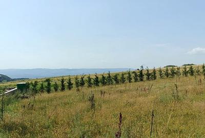 Teren extravilan Cluj, 1100 mp, apa si curent la limita proprietatii