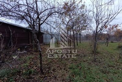 Casă cu 3 camere cu Teren 300 Mp în Freidorf - 5