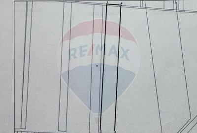 Teren de 16000 mp, în Sărbătoarea - 2